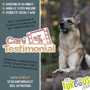 Cani Testimonial