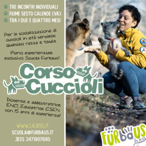 Corso Cuccioli