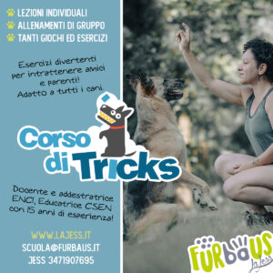 Corso di Tricks